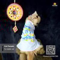 Cat panjabi_img_1