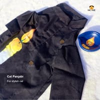 cat panjabi_img_4