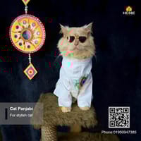 Cat panjabi_img_1