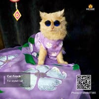 Cat gown_img_1