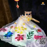 Cat gown_img_0