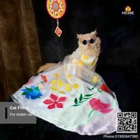 Cat gown_img_1