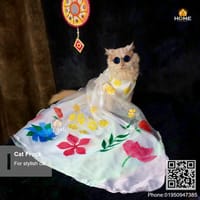 Cat gown_img_2