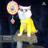 cat panjabi(3,3.5,4 kg)_img_0