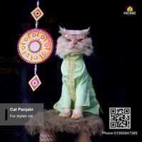 cat panjabi (5,3 kg)_img_0