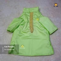 cat panjabi (5,3 kg)_img_1
