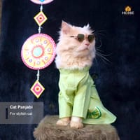 cat panjabi (5 kg)_img_4