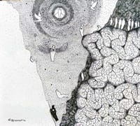 Searching for missed Mystery of Happiness-23_img_0