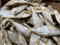 সামুদ্রিক চ্যাপা শুঁটকি শুকনো (Chepa)_img_0