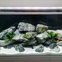 White Sand - 1KG._img_2