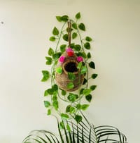 আর্টিফিশিয়াল হ্যাংগিং পাখির বাসা এবং লতা পাতা_img_0