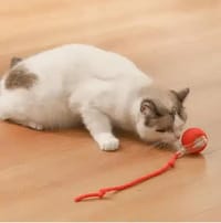 Interactive Cat Toys Ball Automatic Bouncing Ball_img_1