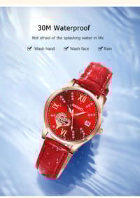 LouisWill Watch For Women New Design_img_4