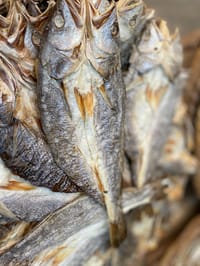 সামুদ্রিক পোয়া শুঁটকি কাট (Poa)_img_1