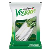 হাইব্রিড মূলা বিজিক্স -৫৩৩  ।  hybrid radish BGX - 533_img_0