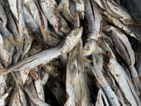 নাইল্লা শুঁটকি (Nailla)_img_0