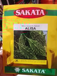 ছোট জাতের হাইব্রিড করলা আলিশা । F1 Hybrid bitter gourd seeds Alisha_img_0
