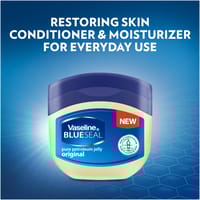 Vaseline Blueseal Original Jelly 100ml(South Africa)_img_1