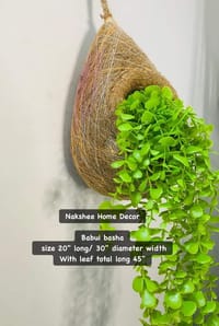 Babui Pakhir Basha with Leaf_img_0