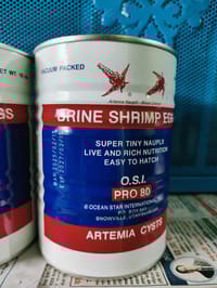 Red Jungle Brine Shrimp Eggs - 20gm_img_2