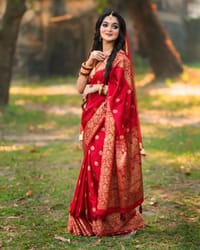 Silk Skin Print Sharee with Blouse Piece_img_1