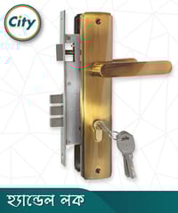 অনন্য রঙের উচ্চ সুরক্ষা স্ট্যান্ডার্ড সাইজের হ্যান্ডেল লক প্রধান দরজার লক Door Lock_img_0