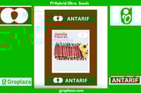 হাইব্রিড লাল ঢেঁড়স বীজ জামিল।  F1 Hybrid Okra Bhendi Seeds Jamila_img_0