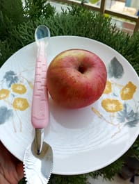 Booth Side Spoon_img_2