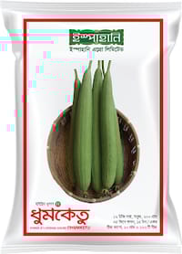 হাইব্রিড ধুন্দল ধুমকেতু।  F1 Hybrid Sponge gourd seeds Dhumketu_img_0