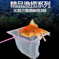 Fishing Net(Chinese)_img_1