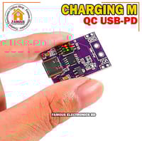 Type-C QC AFC PD2.0 PD3.0 To DC Spoof Scam Fast Charge Trigger Polling Detector USB-PD Notebook Power Supply Change Board Module_img_2