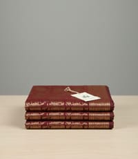 Viovin Tana Bana 2_img_1