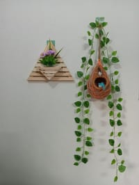 বাবুই পাখির বাসা (হোম ডেকর) কম্বো - ১_img_0