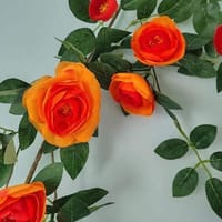 Most demanding rose vine_img_3