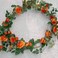 Most demanding rose vine_img_4