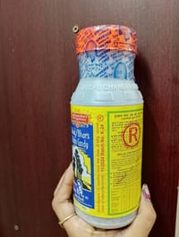 Dulal Bhar's Plam Candy-(500gm)_img_1