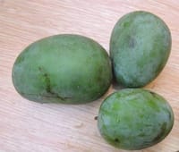 ল্যাংড়া আম_img_0