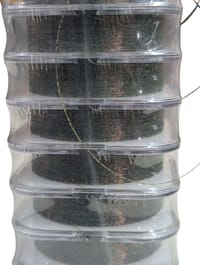 TEAM DAIWA Fishing Line 150 Meters- (0.38mm)_img_3