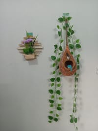 বাবুই পাখির বাসা (হোম ডেকর) কম্বো - ২_img_1