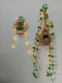 বাবুই পাখির বাসা (হোম ডেকর) কম্বো - ৩_img_1