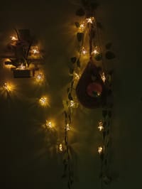 বাবুই পাখির বাসা (হোম ডেকর) কম্বো - ৩_img_5