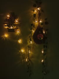 বাবুই পাখির বাসা (হোম ডেকর) কম্বো - ৩_img_6