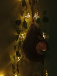 বাবুই পাখির বাসা (হোম ডেকর) কম্বো - ৩_img_8