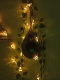 বাবুই পাখির বাসা (হোম ডেকর) কম্বো - ৪_img_3