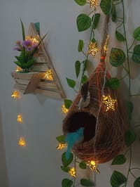 বাবুই পাখির বাসা (হোম ডেকর) কম্বো - ৪_img_6