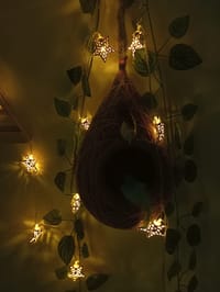 বাবুই পাখির বাসা (হোম ডেকর) কম্বো - ৪_img_9