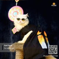 cat frock(3.5 kg)_img_0