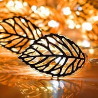 LEAF SHAPE STEEL CASE FAIRY LIGHTS (20 Pcs., 15 Feet)_img_5