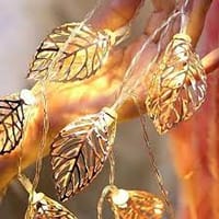 LEAF SHAPE STEEL CASE FAIRY LIGHTS (20 Pcs., 15 Feet)_img_3