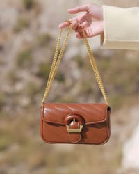 Belle Arc Crossbody Mini Bag_img_4